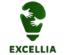 exceliaci.com